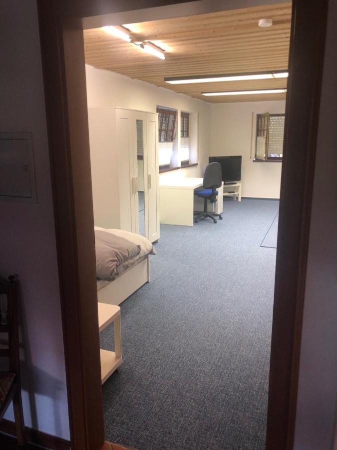 1-Zimmer Apartment, 45 Qm, Im Weinort Neustadt-Duttweiler Neustadt an der Weinstraße Kültér fotó