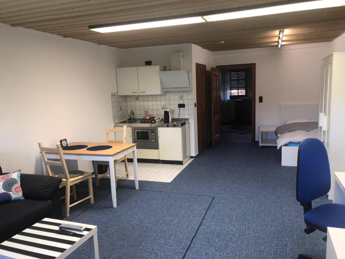 1-Zimmer Apartment, 45 Qm, Im Weinort Neustadt-Duttweiler Neustadt an der Weinstraße Kültér fotó