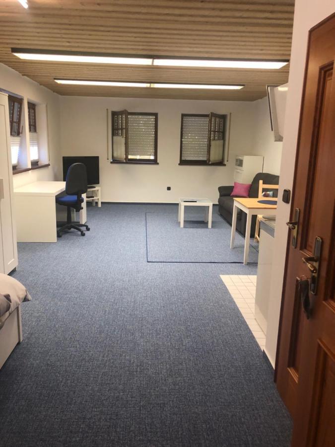 1-Zimmer Apartment, 45 Qm, Im Weinort Neustadt-Duttweiler Neustadt an der Weinstraße Kültér fotó