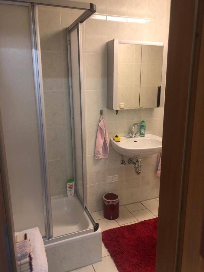 1-Zimmer Apartment, 45 Qm, Im Weinort Neustadt-Duttweiler Neustadt an der Weinstraße Kültér fotó