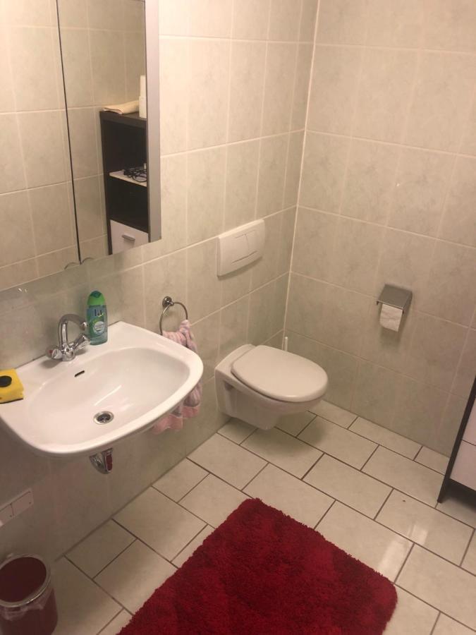 1-Zimmer Apartment, 45 Qm, Im Weinort Neustadt-Duttweiler Neustadt an der Weinstraße Kültér fotó